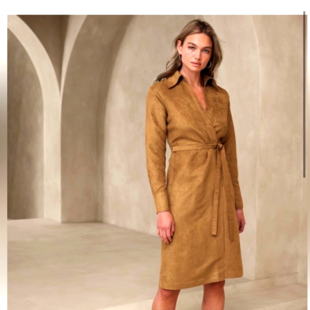 Banana Republic Vegan Suede Knee Length Dress, color Horsehair, size 4, new